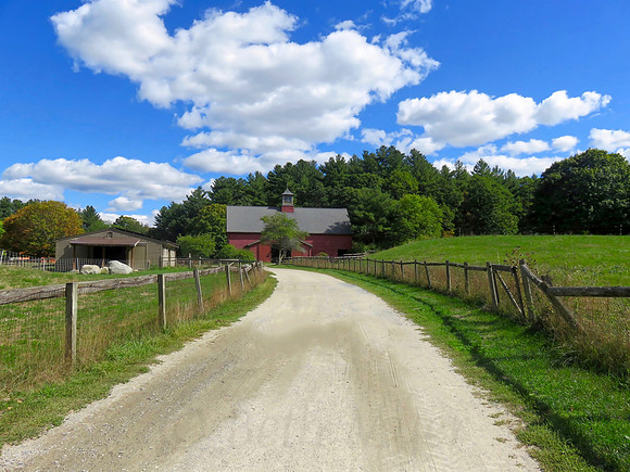 Road to Farm
