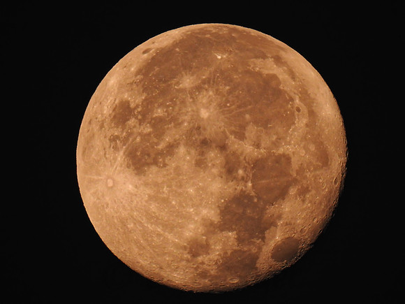 Magnificent Harvest Moon