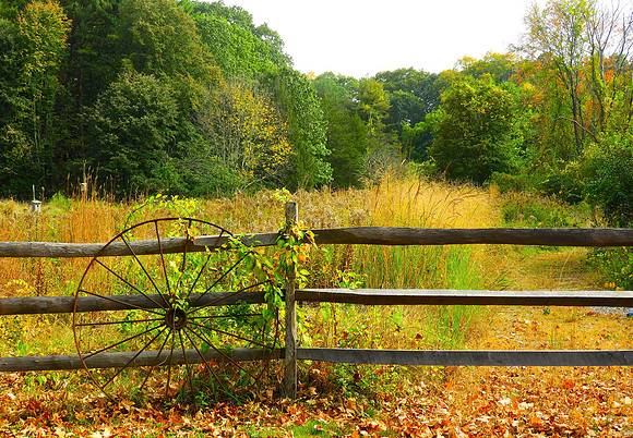 Autumnal Wagon Wheel