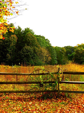 Autumnal Wagon Wheel Vertical
