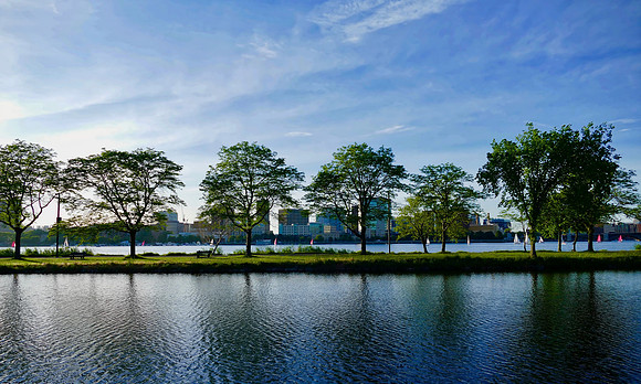 Summer on the Charles