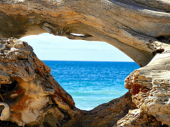 Ocean Peeking