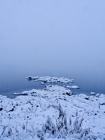 Foggy Snowfall