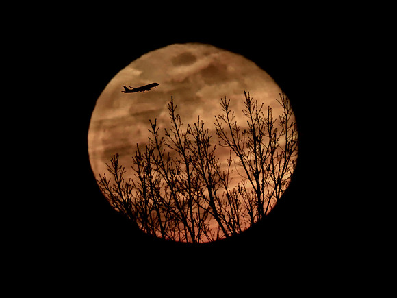 Moonlit Flight