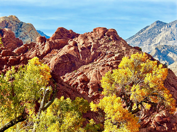 Fall Meets Desert