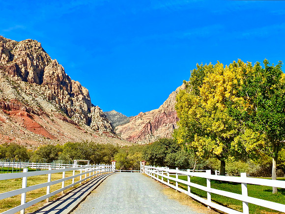 Farm to Mountains