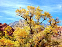 Red Rock & Nevada