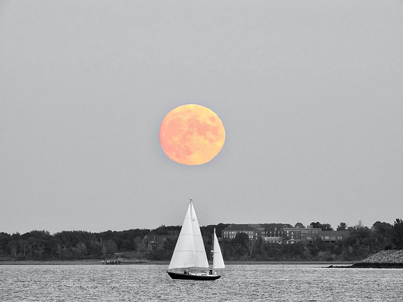 Harvest Sail