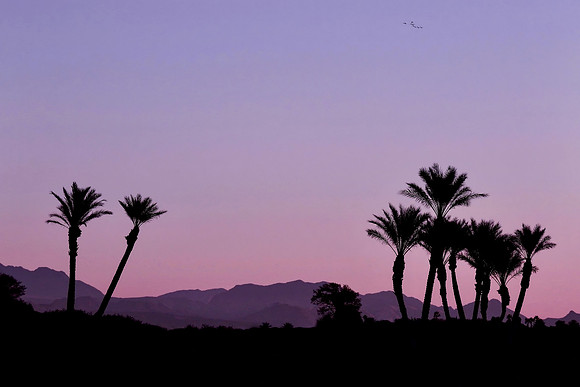 Desert Sunrise