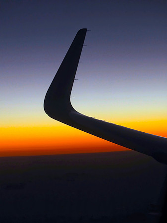 Wingtip Horizon