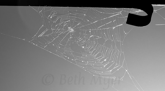 Wondrous Web