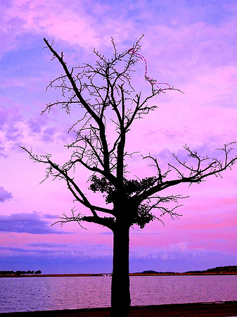 Tree With Pink Ribbon